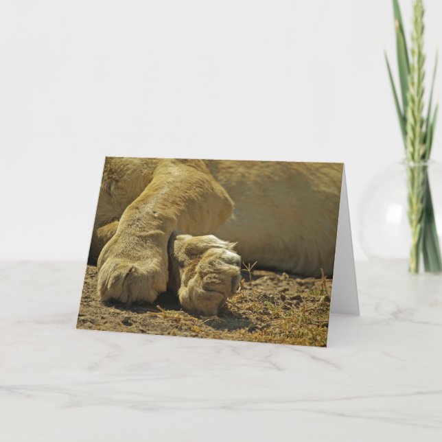 Lion Paws Card (Front)