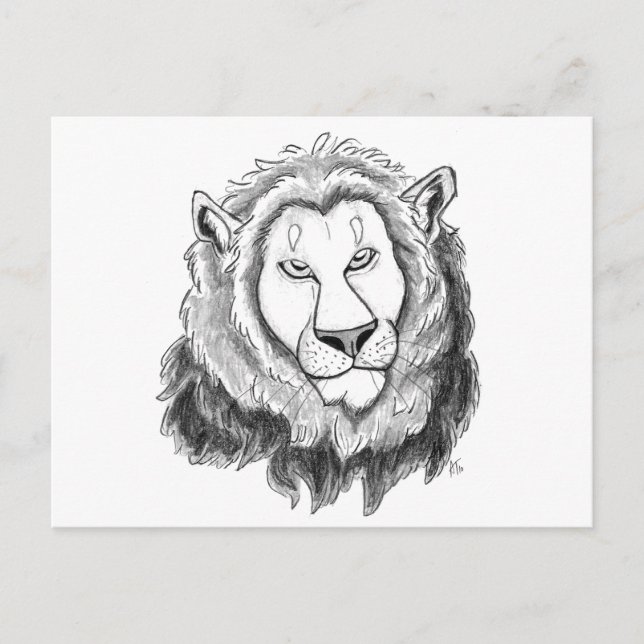 Lion Pencil Sketch Art Postcard (Front)