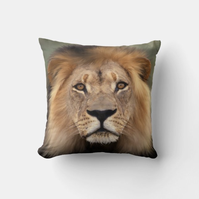 Lion Photograph Cushion (Front)