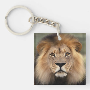 Lion Photograph Key Ring