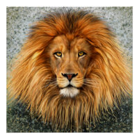 Lion Photograph Paint Art image