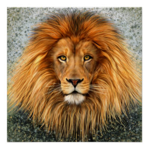 Lion Photograph Paint Art image Poster