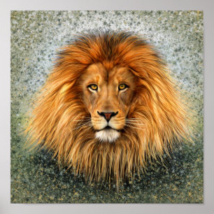 Lion Photograph Paint Art image Poster