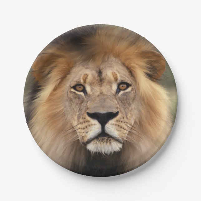Lion Photograph Paper Plate (Front)