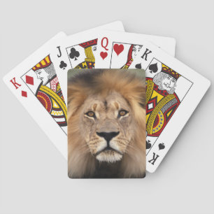 Lion Photograph Playing Cards