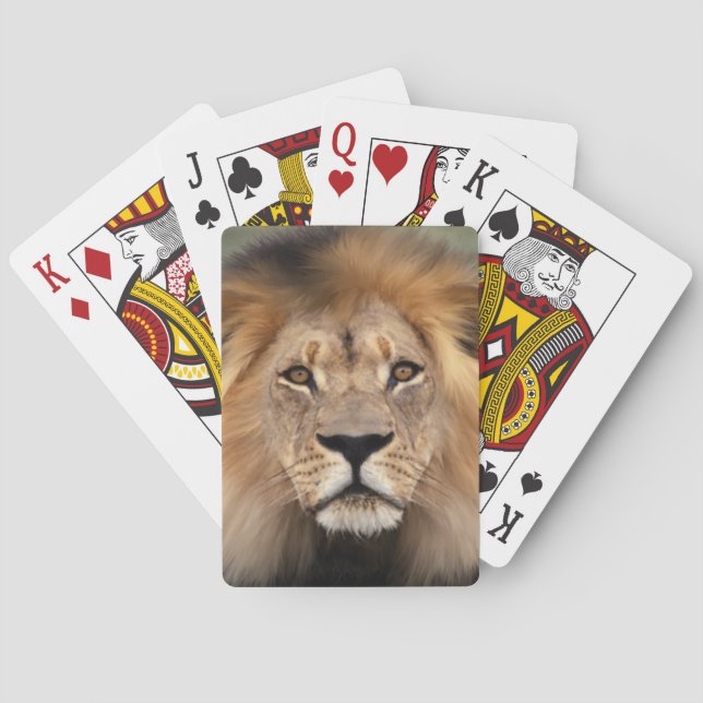 Lion Photograph Playing Cards (Back)