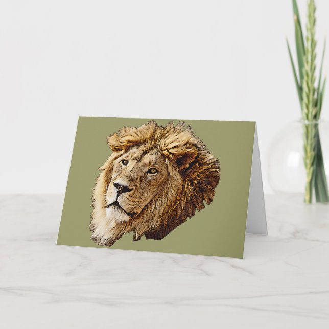 Lion Picture Card (Front)
