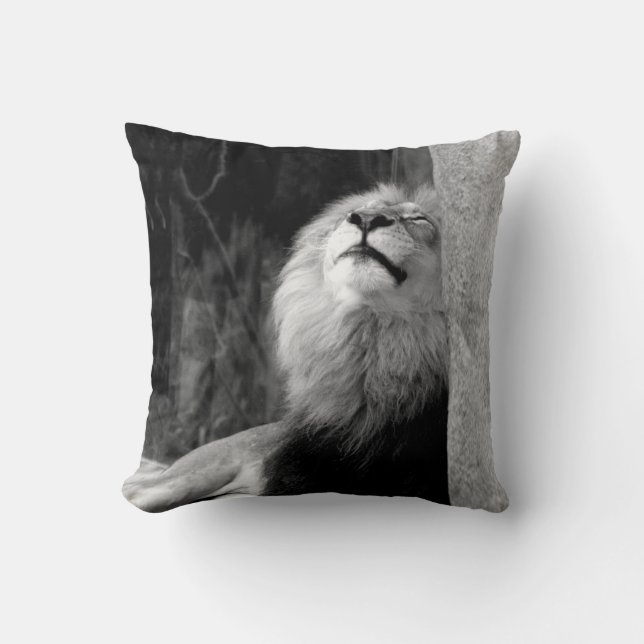 Lion Picture Throw Pillows (Front)