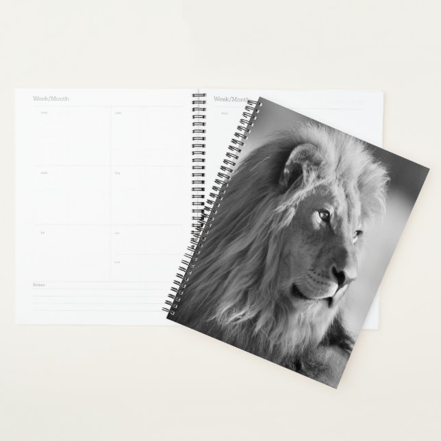 Lion Planner (Display)