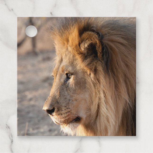 Lion Portrait Favour Tags (Front)