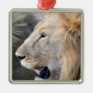 Lion Portrait Metal Tree Decoration