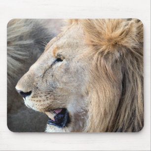 Lion Portrait Mouse Mat