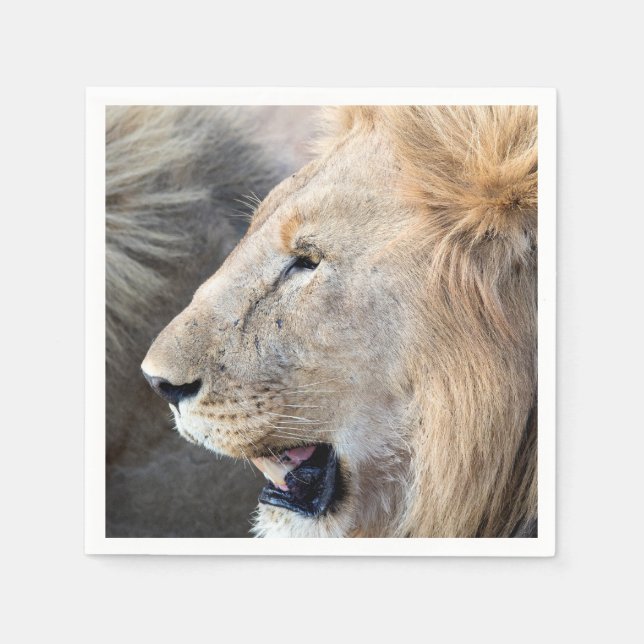 Lion Portrait Napkin (Front)