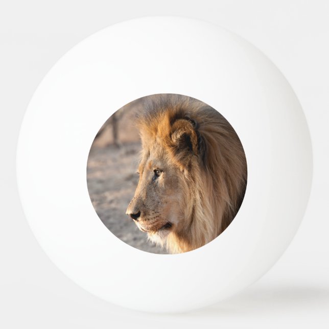 Lion Portrait Ping Pong Ball (Back)