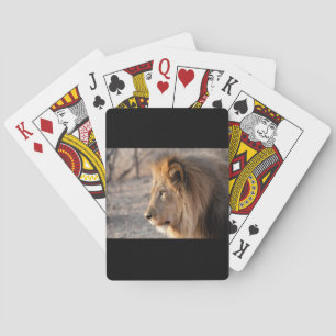 Lion Portrait Playing Cards