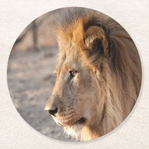 Lion Portrait Round Paper Coaster
