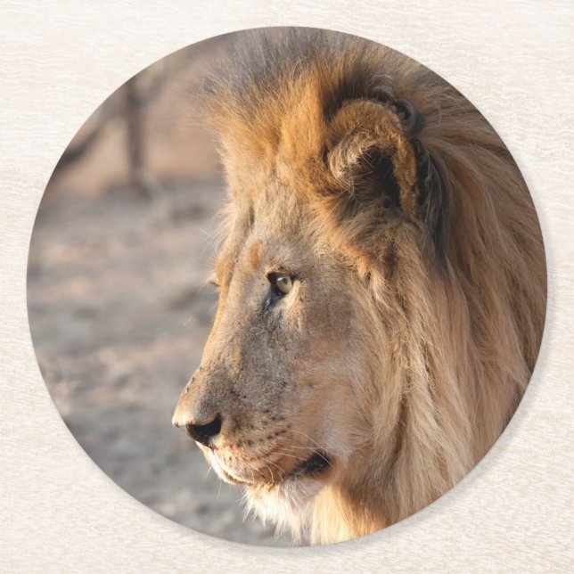 Lion Portrait Round Paper Coaster (Front)