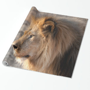 Lion Portrait Wrapping Paper