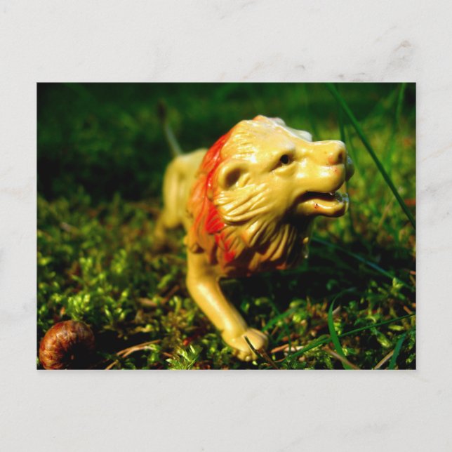 lion postcard (Front)
