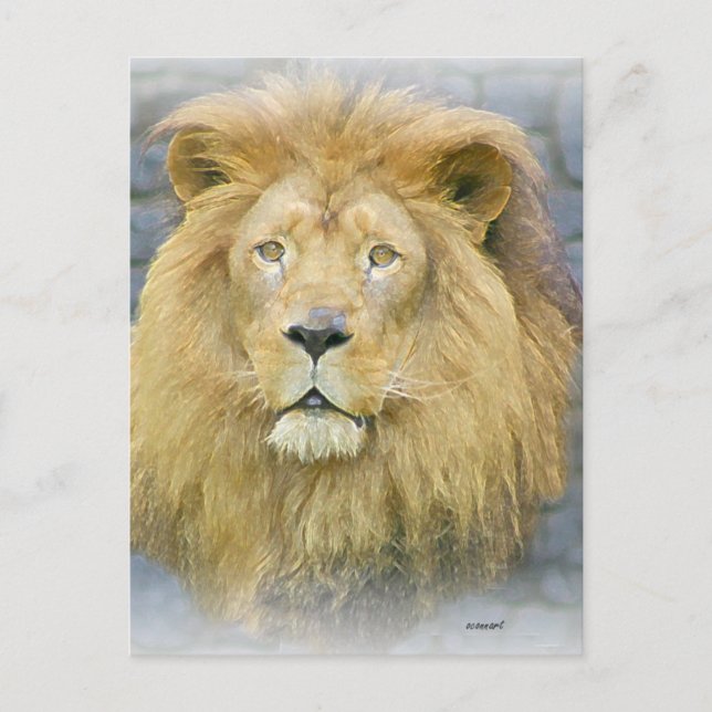 lion postcard (Front)