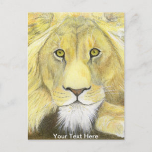 Lion Postcard
