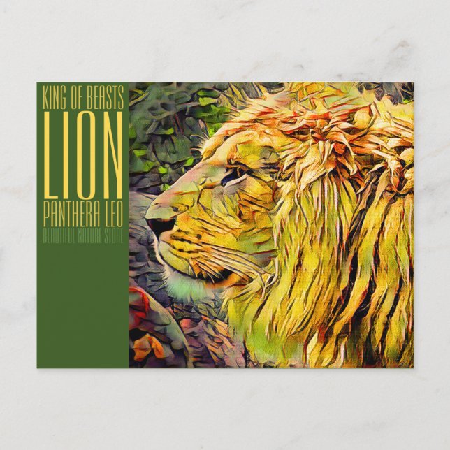 Lion [Postcard] Postcard (Front)