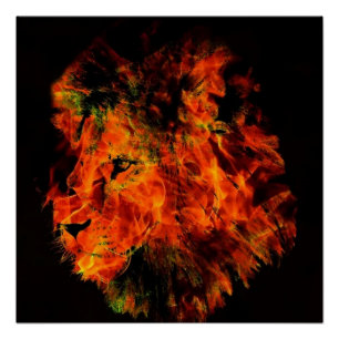 Lion Poster