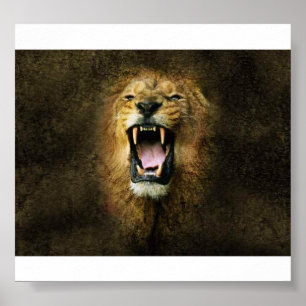 Lion Poster