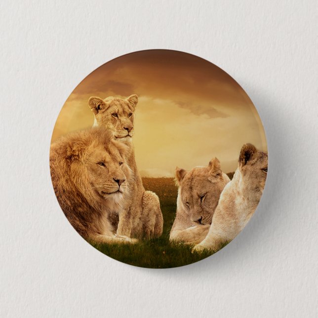 Lion pride 6 cm round badge (Front)