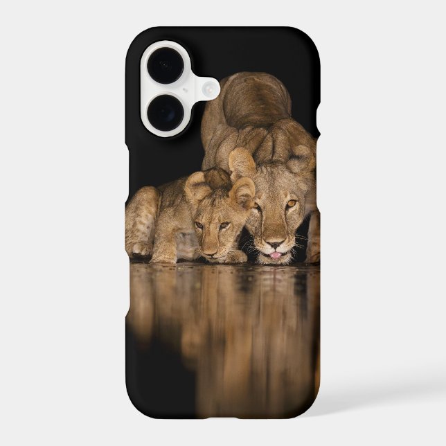 Lion Pride Drinks at the Water Hole at Night (Back)