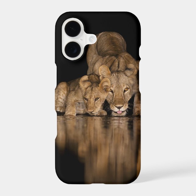Lion Pride Drinks at the Water Hole at Night (Back)