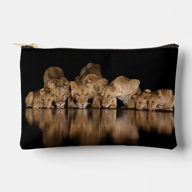 Lion Pride Drinks at the Water Hole at Night Accessory Pouch (Front)