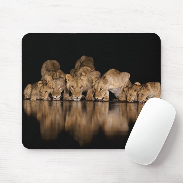 Lion Pride Drinks at the Water Hole at Night Mouse Mat (With Mouse)