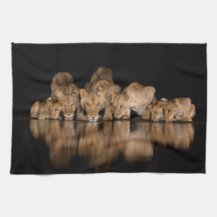 Lion Pride Drinks at the Water Hole at Night Tea Towel