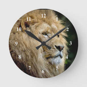 Lion Profile Wildlife Photo Round Clock