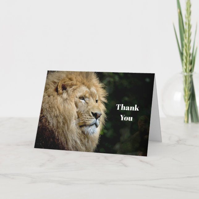 Lion Profile Wildlife Photo Thank You Card (Front)