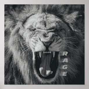 Lion Rage Black and White Roar Poster