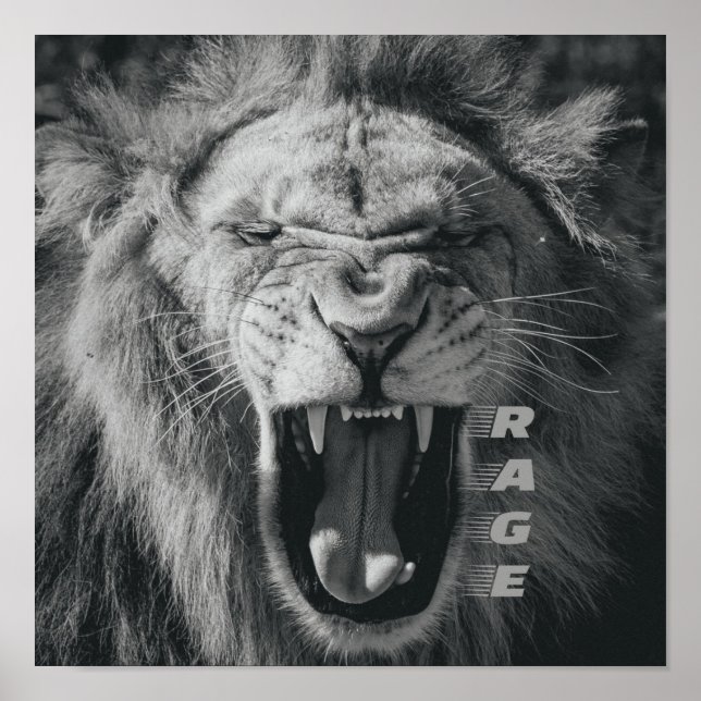 Lion Rage Black and White Roar Poster (Front)