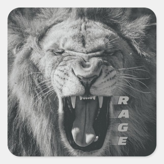 Lion Rage Black and White Roar Square Sticker (Front)
