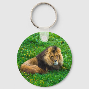 Lion Relaxing in Green Grass Photo Key Ring