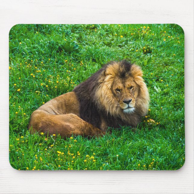 Lion Relaxing in Green Grass Photo Mouse Mat (Front)