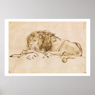 Lion Resting (pen and ink on paper) Poster