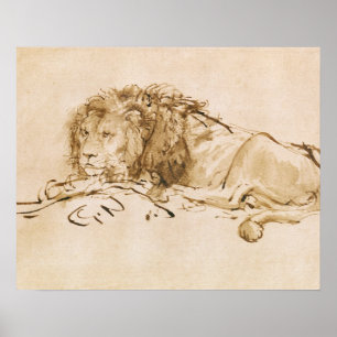 Lion Resting (pen and ink on paper) Poster