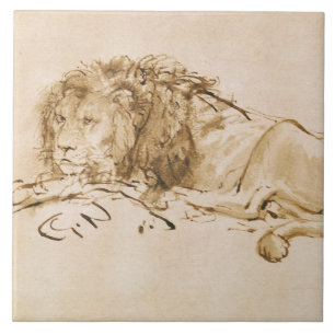 Lion Resting (pen and ink on paper) Tile