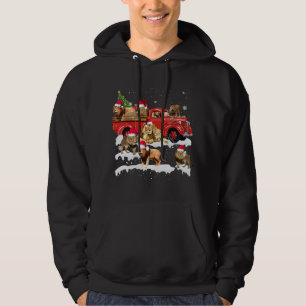 Lion Riding Red Truck Merry Christmas X-mas Ugly G Hoodie