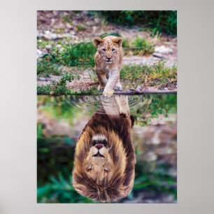 Lion Roaring Mindset Water Reflection Poster