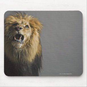 Lion roaring mouse mat