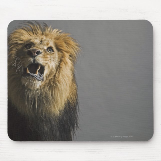 Lion roaring mouse mat (Front)