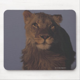 Lion Running Mouse Mat