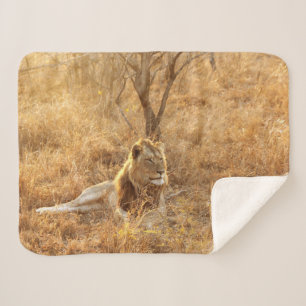 Lion Sherpa Blanket